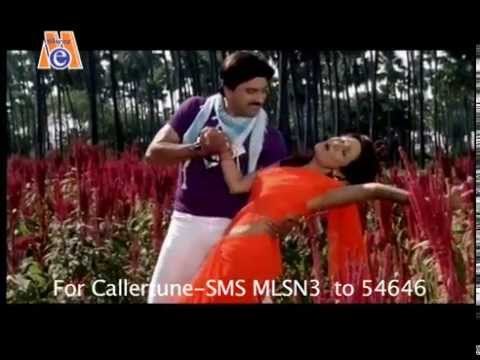 Main To Haiye Lakhyu Sajan Taru Naam - Main To Haiye Lakhyu Sajan Taru Naam - Gujarati