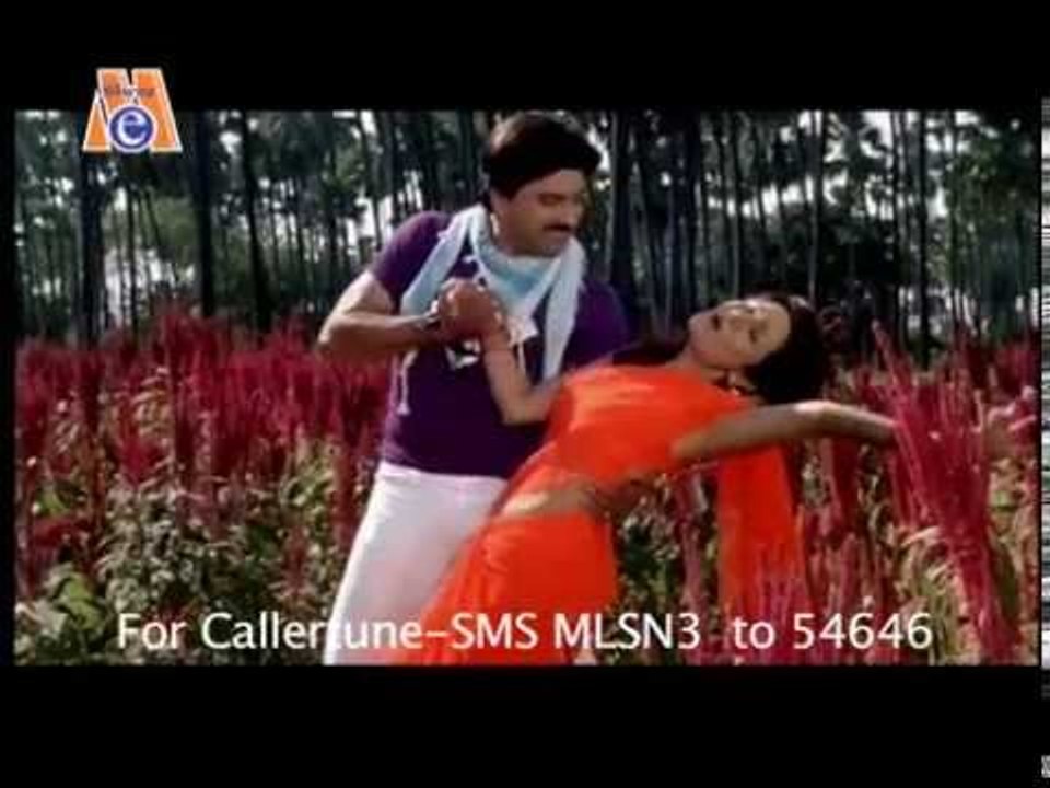 Main To Haiye Lakhyu Sajan Taru Naam - Main To Haiye Lakhyu Sajan Taru Naam - Gujarati