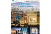 Pearl Jumeirah Plot For Sale  Plot size  10 085 sq ft  Build Your Dream Home  - mlsae.com