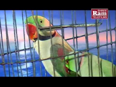 Popat Udi Udi Jay - Dashamana Raj Ma Ler Lila Ler - Gujarati Devotional Songs