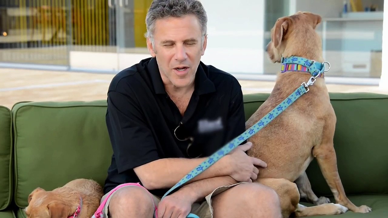 Neil Everett Always Roots for the Underdog
