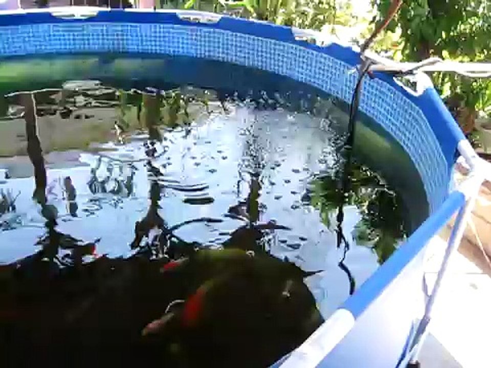 Intex 12' by 30'' Metal Frame Pool [Not for swimming anymore, other temporary options]