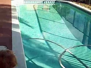 2008 - Dog Happy Molly May