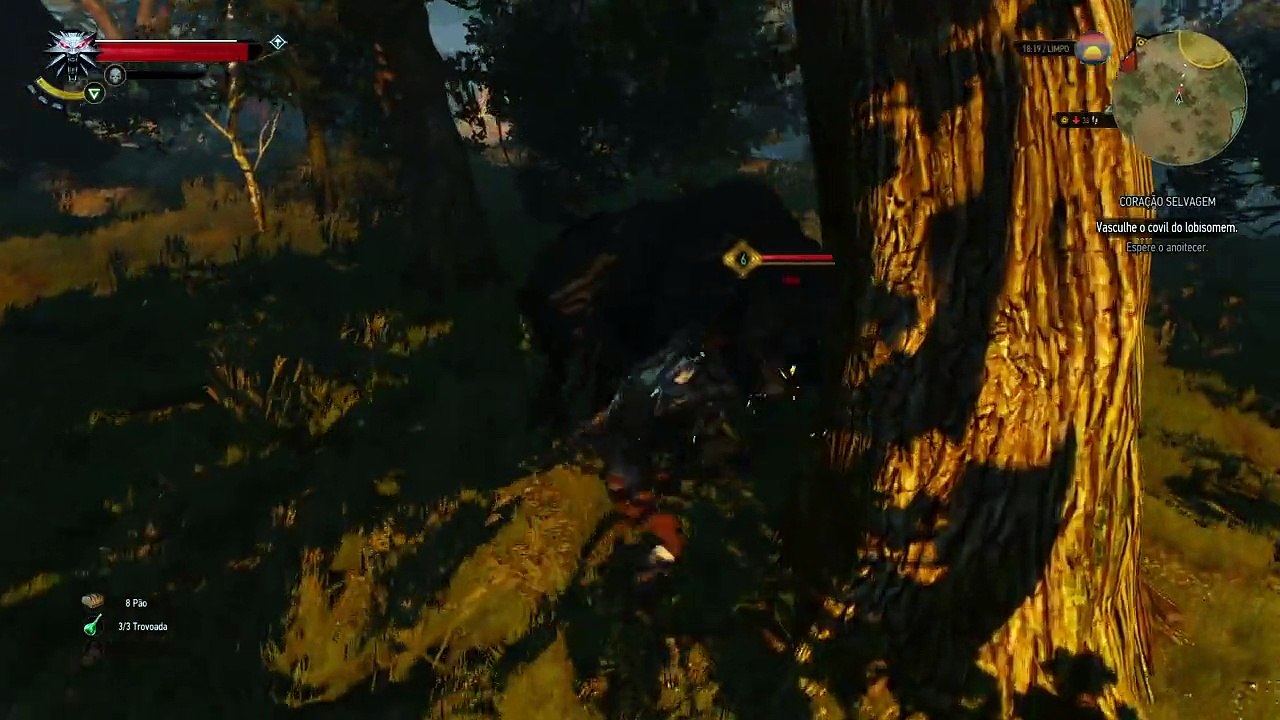 The Witcher 3: Wild Hunt