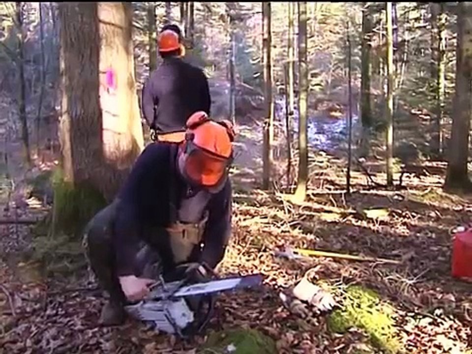Entrepreneur de Travaux Forestiers Franche-Comté.avi