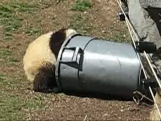 Tai & The Trash Can 03.25 [01]