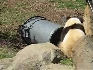 Tai & The Trash Can 03.25 [02]