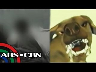 15 katao kinagat ng asong may rabies