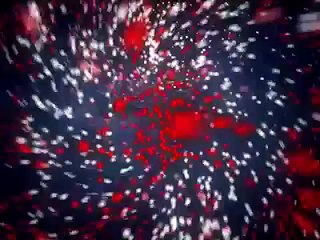 Sarah Palin Vs Protester