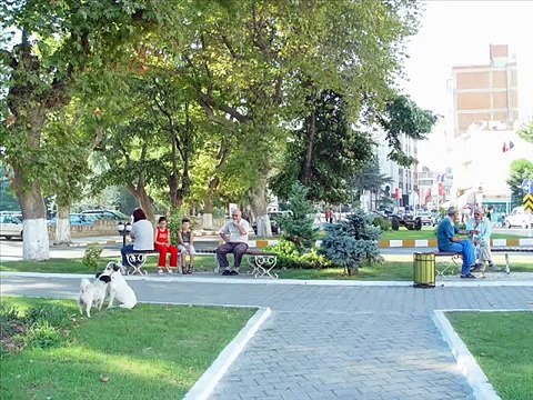 BİR SEVDADIR SİNOP BİR AYRICALIKTIR TÜRKELİ