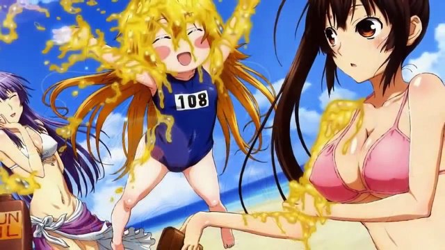Top 10 Action Romance Ecchi Anime up to 2014