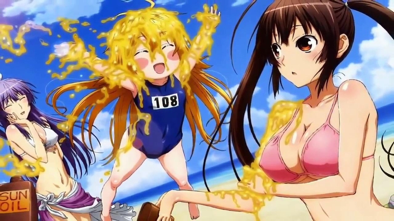 Top 10 Action Romance Ecchi Anime up to 2014