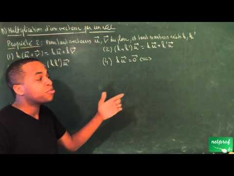 AEP / Vecteurs / Propriétés des vecteurs