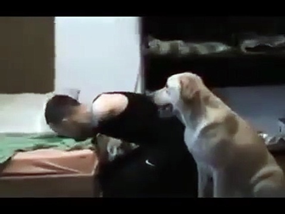 Engelli sahibinin giyinmesine yardım eden köpek...