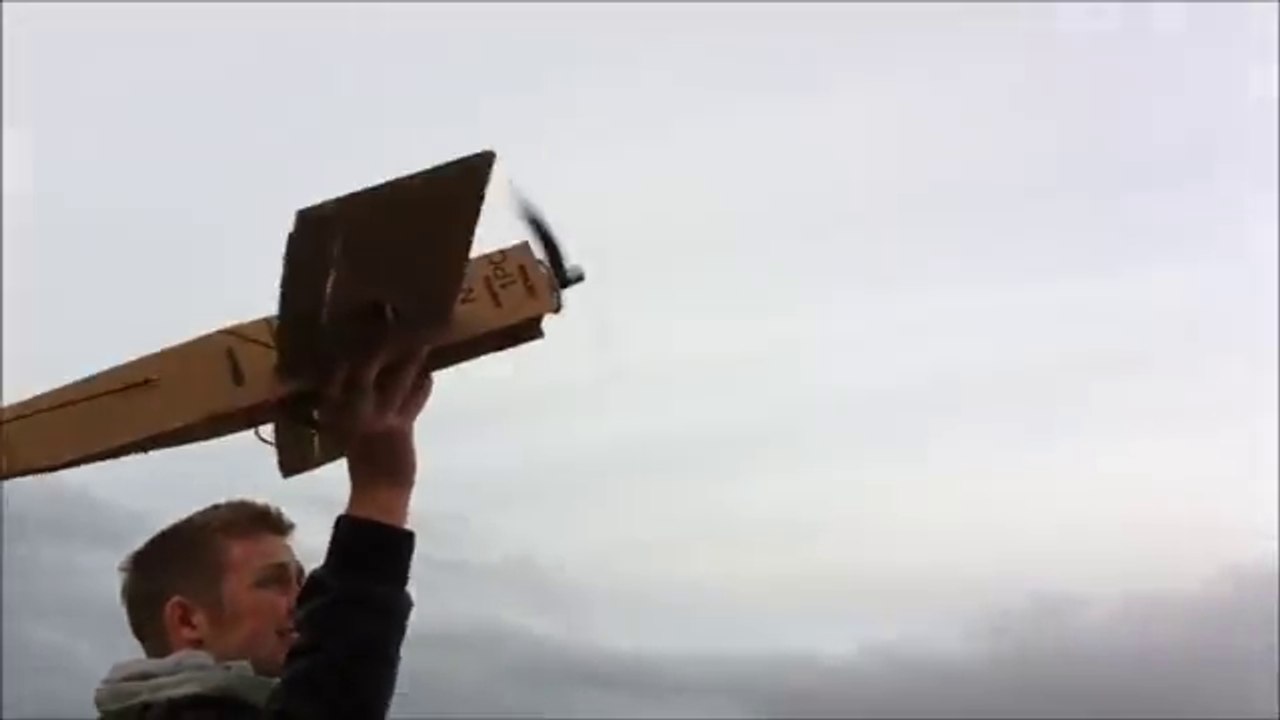 Avion radiocommandé en carton