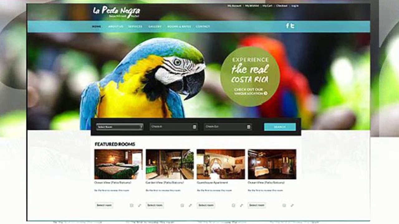 Hawaii Web Development