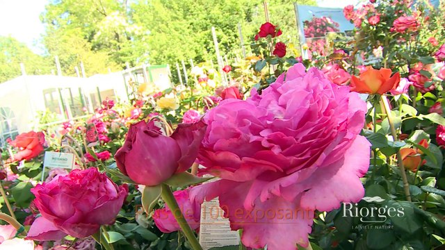 Riorges - Fête des Fleurs 2015