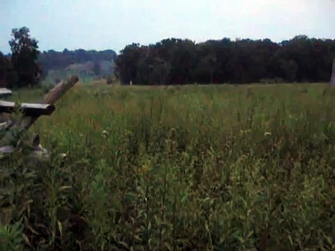 Gettysburg: Wheatfield Fife and Drums