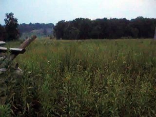 Gettysburg: Wheatfield Fife and Drums