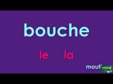 Apprendre le vocabulaire et les articles en français - Visage