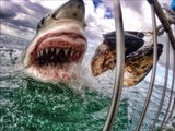 20 most impressive photos shot with GoPro - Amazing photo compilation