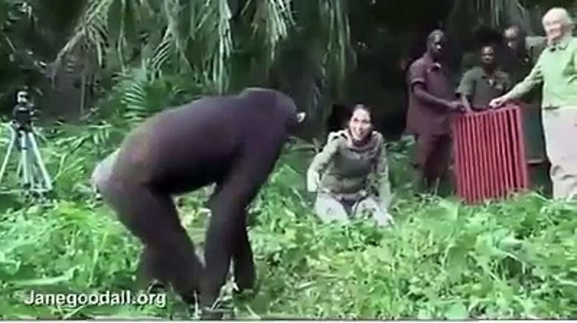 Amazing