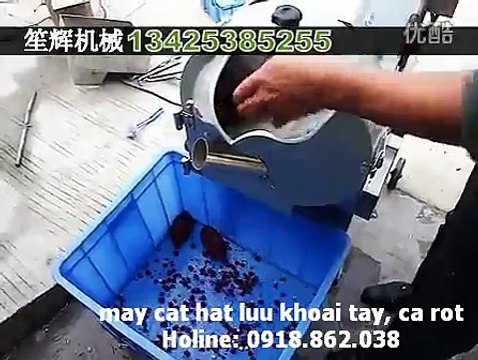 máy cắt hạt lựu củ khoai tây, máy cắt hạt lựu củ cà rốt