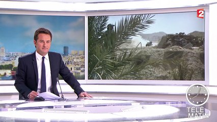 La cité antique de Palmyre tombe aux mains de l'État islamique