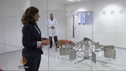 Study: Dogs can detect some cancers with 90% success