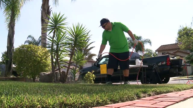 Estados Unidos: Pintar el césped para tener jardines verdes