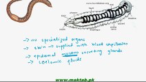 FSc Biology Book1, CH 13, LEC 4; Respiration in Hydra, Earthworm and Cockroach