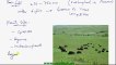 FSc Biology Book2, CH 26, LEC 5; Grass Land and Desert Ecosystem