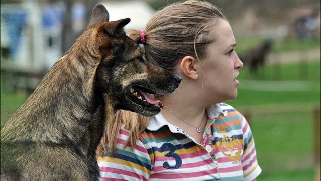 bêtisier cross les bronzés