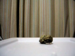 this is what happens if your emo