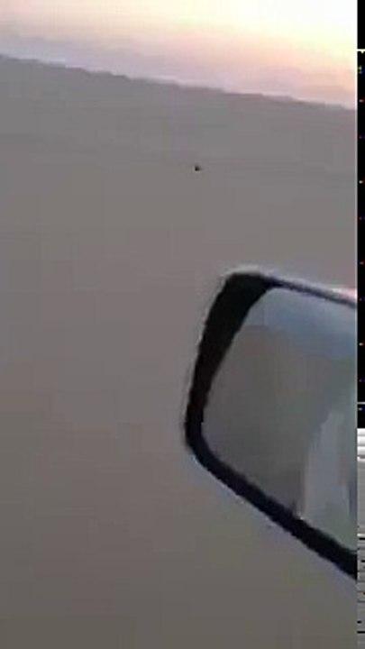 CAN YOU CATCH BIRD LIKE THIS.