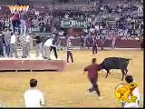 bull fight goes wrong