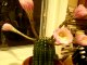 Time-lapse d'un cactus qui fleurit: magique
