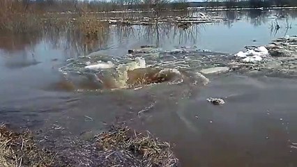 Amazing monstrous whirlpool