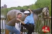 horse pran