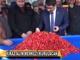 KİRAZ ALIM MERKEZİ KURULACAK