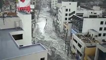 Amazing power of Japanese Tsunami