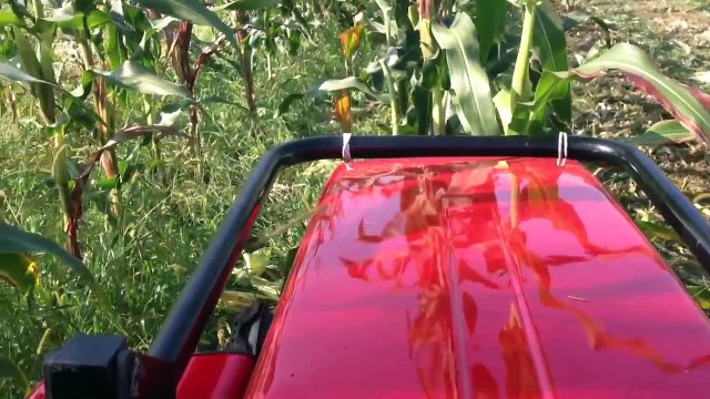 Antonio Carraro Supertigre 5000 malčiranje kukuruza