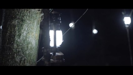 Harry Potter Theme - Violon - Taylor Davis