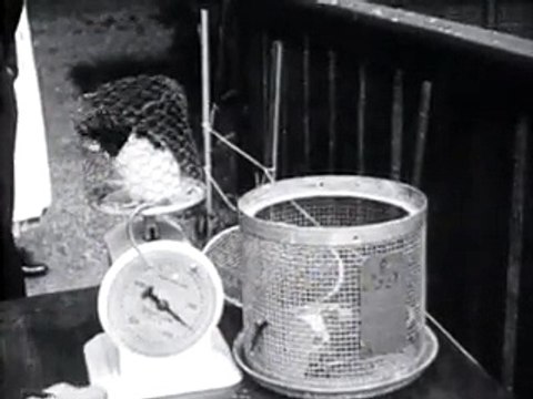 Bezoek aan het laboratorium aan het Instituut voor Volksvoeding - 10 juli 1924