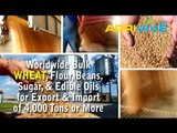 Buy USA Bulk Wholesale Bulk Wheat, Bulk Wheat, Bulk Wheat, Bulk Wheat, Bulk Wheat, Bulk Wheat, Bulk Wheat, Bulk Wheat, H