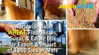 Buy USA Bulk Wholesale Wheat Purchasing, Wheat Purchasing, Wheat Purchasing, Wheat Purchasing, Wheat Purchasing, Wheat P