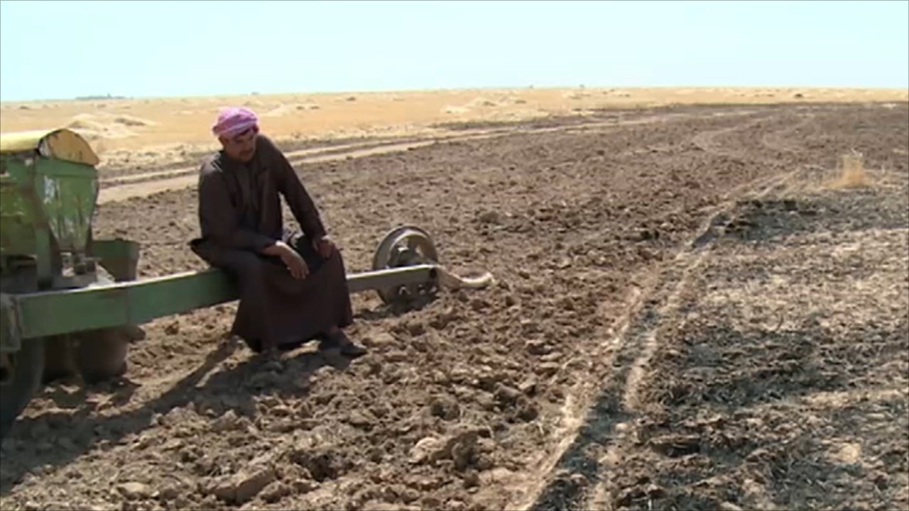 مجهولون يحرقون حقولا بمحافظة نينوى