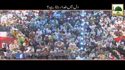 Dil Main Khuda Rehta Hai - Short Clip - Maulana Ilyas Qadri