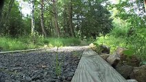 SUNY-ESF / Accessibility at the Ranger School Arboretum