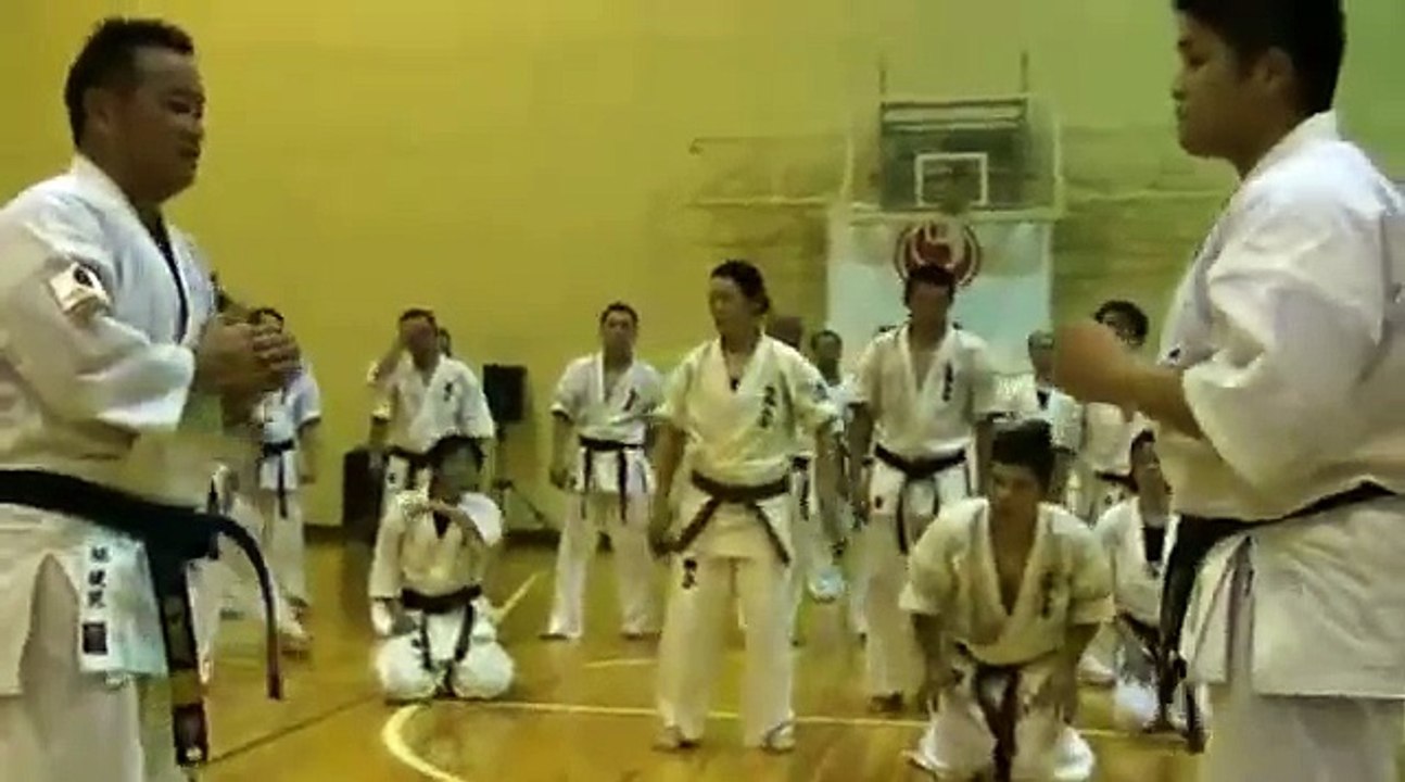 【新極真会】緑健児代表セミナー 5 SHINKYOKUSHINKAI KARATE Kenji Midori